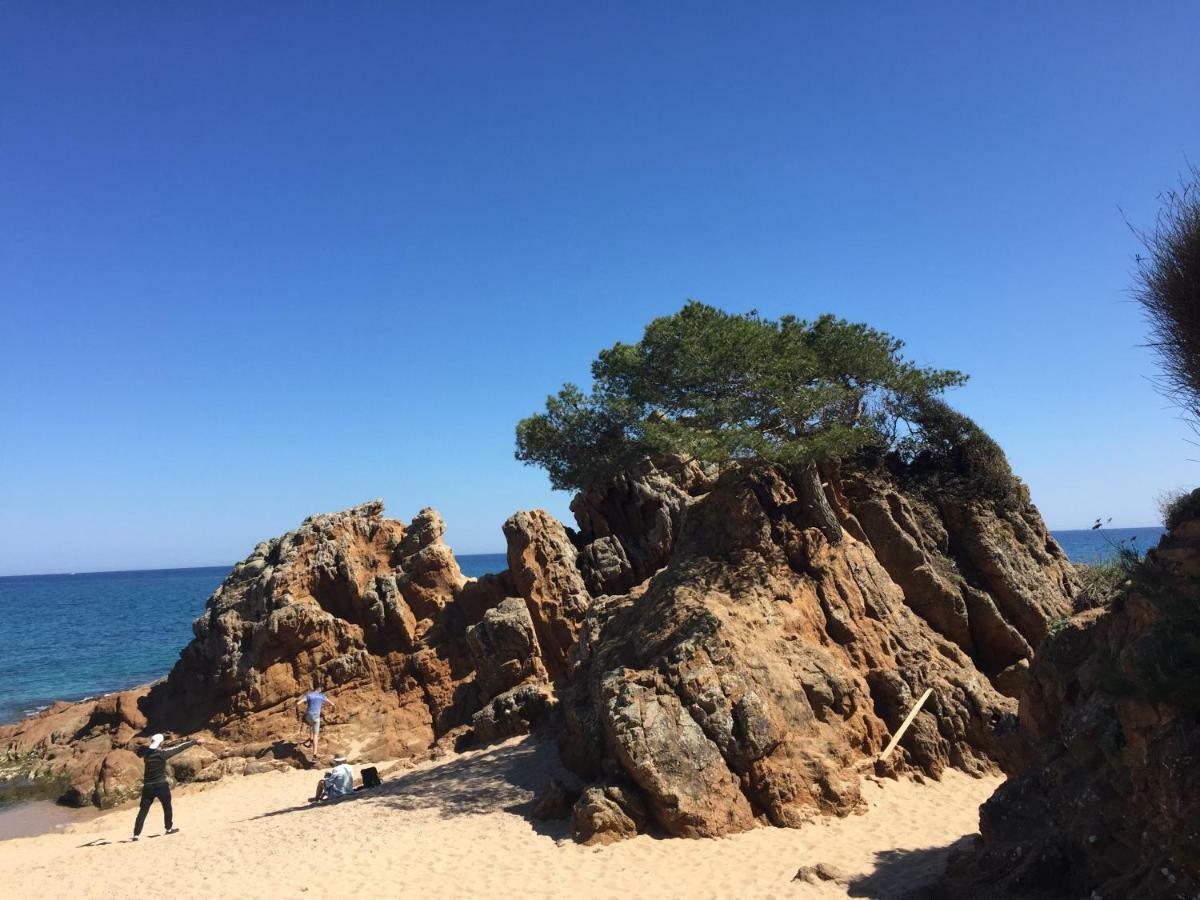 Apartamentos Jardin Turquesa Lloret de Mar Extérieur photo